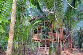 Belize rainforest cabana – Best Places In The World To Retire – International Living